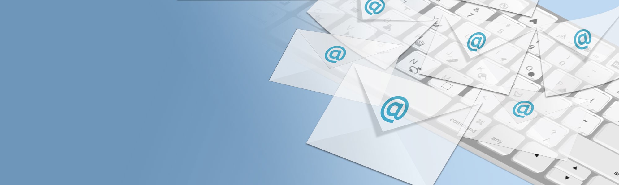 Successful email marketing campaign for any kind of web business!