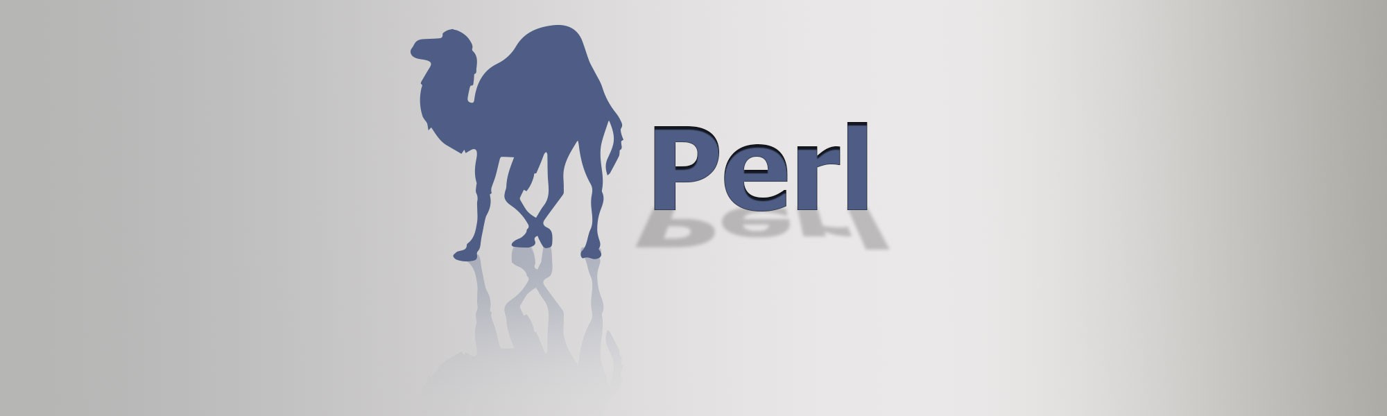 Perl Developers